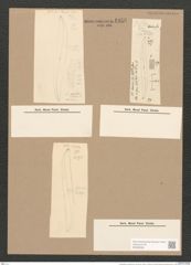 Pleurosigma var. borealis Grun. (de-Toni-Nr.: Genus 13, Species 1076) Zeichnungen Sammlung Grunow Nr. 1956 (NHMW-BOT-W0369098)
